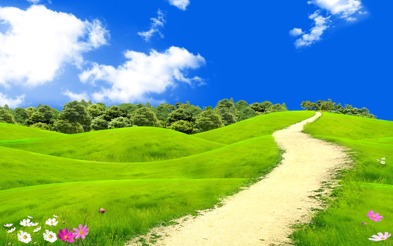 tranquil scene, field, grass, tranquility, tree, day, plant, Beautifu, beauty in nature, environment, blue, growth, land, nature, non-urban scene, sky