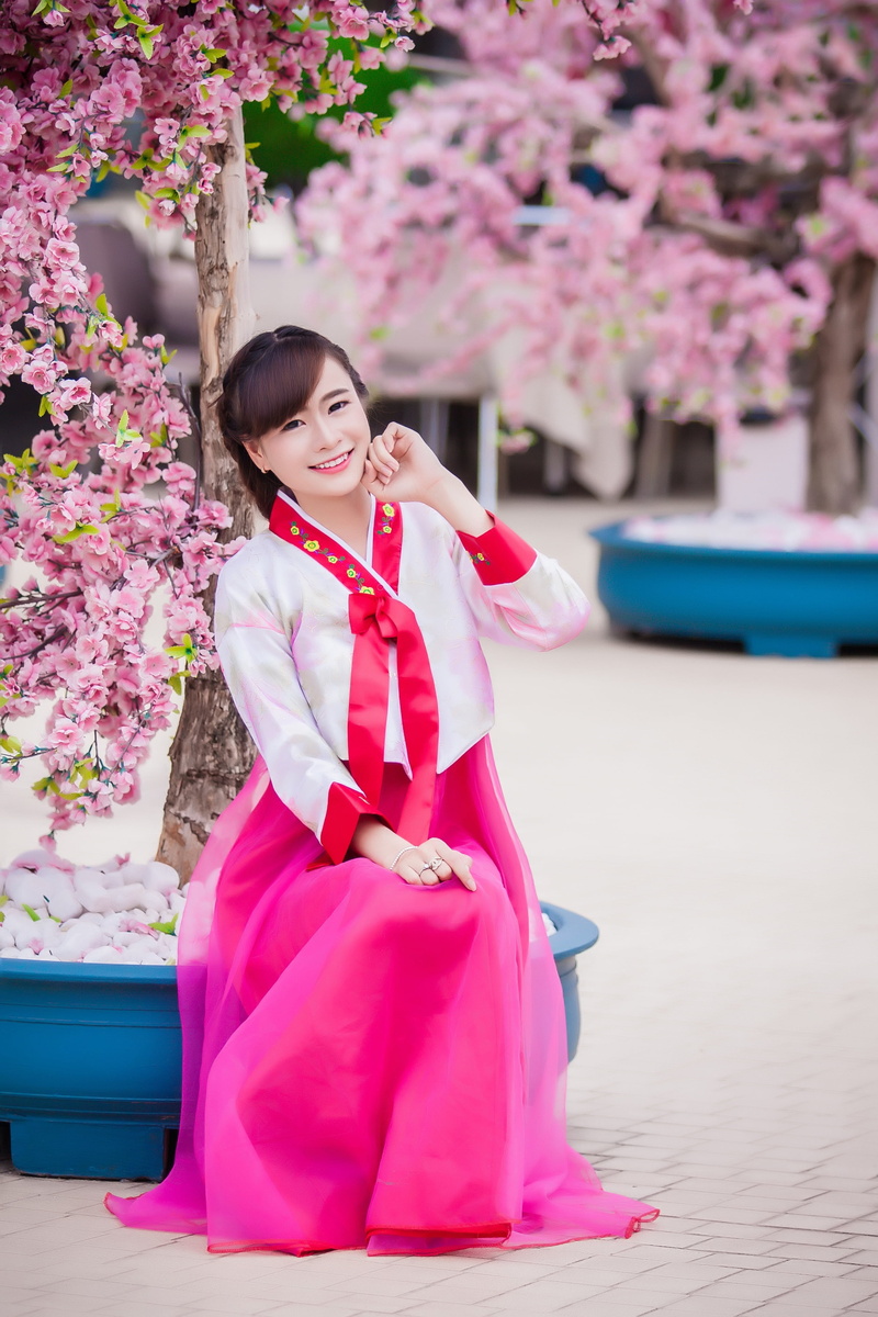 girl, 4K, front view, flowering plant, throat, focus, communications, vietnam, box, cherry blossom, young women, full length, hairstyle, costume, nature