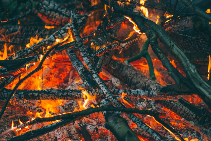 flame, campfire, fire, heat - temperature, wood, no people, 5K, fire - natural phenomenon, heat, live coal, ember, glowing, burning, log, orange color