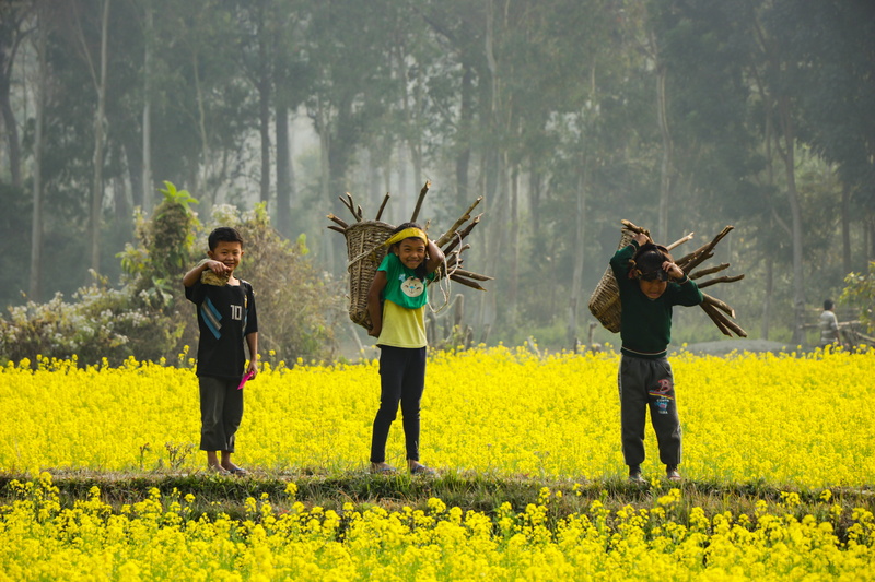 men, countryside, oil, three, plant, portrait, rapeseed, rural scene, energy, adult, agriculture, crop, two people, land, hardworking, village, full length