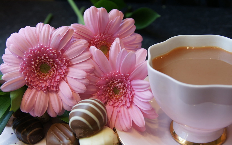 refreshment, temptation, close-up, backgrounds, cup, beauty in nature, cream, flowering plant, flower head, tea, breakfast, food and drink, nature, 720P