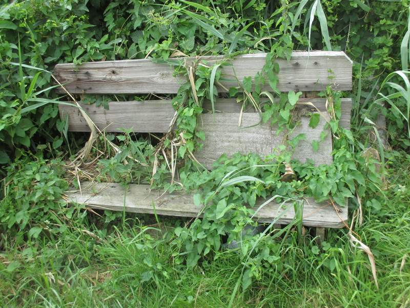 abandoned, plant, seat, plant part, wood - material, climbing plants, stack, romantic, land, make the most of, wild, container, leaf, park, outdoors, entwine