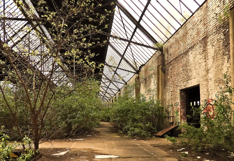 forget, train, green, leave, abandoned, sky, old, passed, train hall, finiteness, warehouse, walls, tree, sunlight, lost places, plant, unused, old building