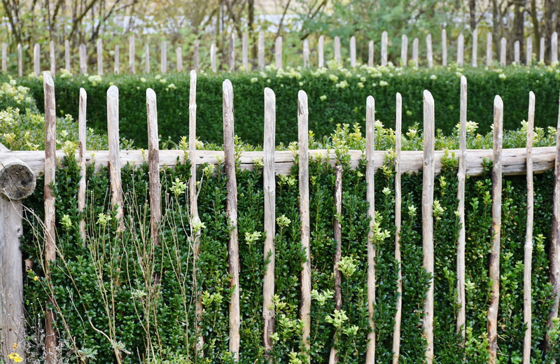 blossom, garden fence, flora, bloom, protection, hof, security, wood - material, green, beauty in nature, entwine, landscape, brown, boundary, facade, wooden
