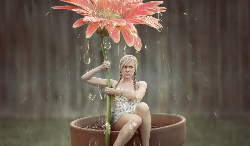 1080P, rain, women, red flowers, flowerpot