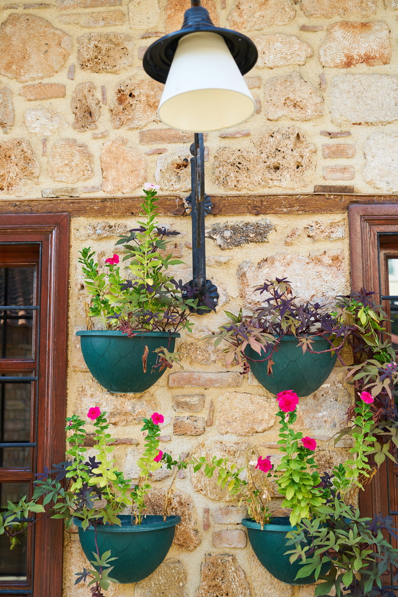green, day, brick wall, outdoors, lighting equipment, wall - building feature, flowers, growth, potted plant, home, spring, vegetation, floral pattern