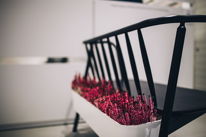 railing, flowerpots, table, summer, water, plant, outdoors, selective focus, vulnerability, flowering plant, exhibition, nature, flower, petal, beauty in nature