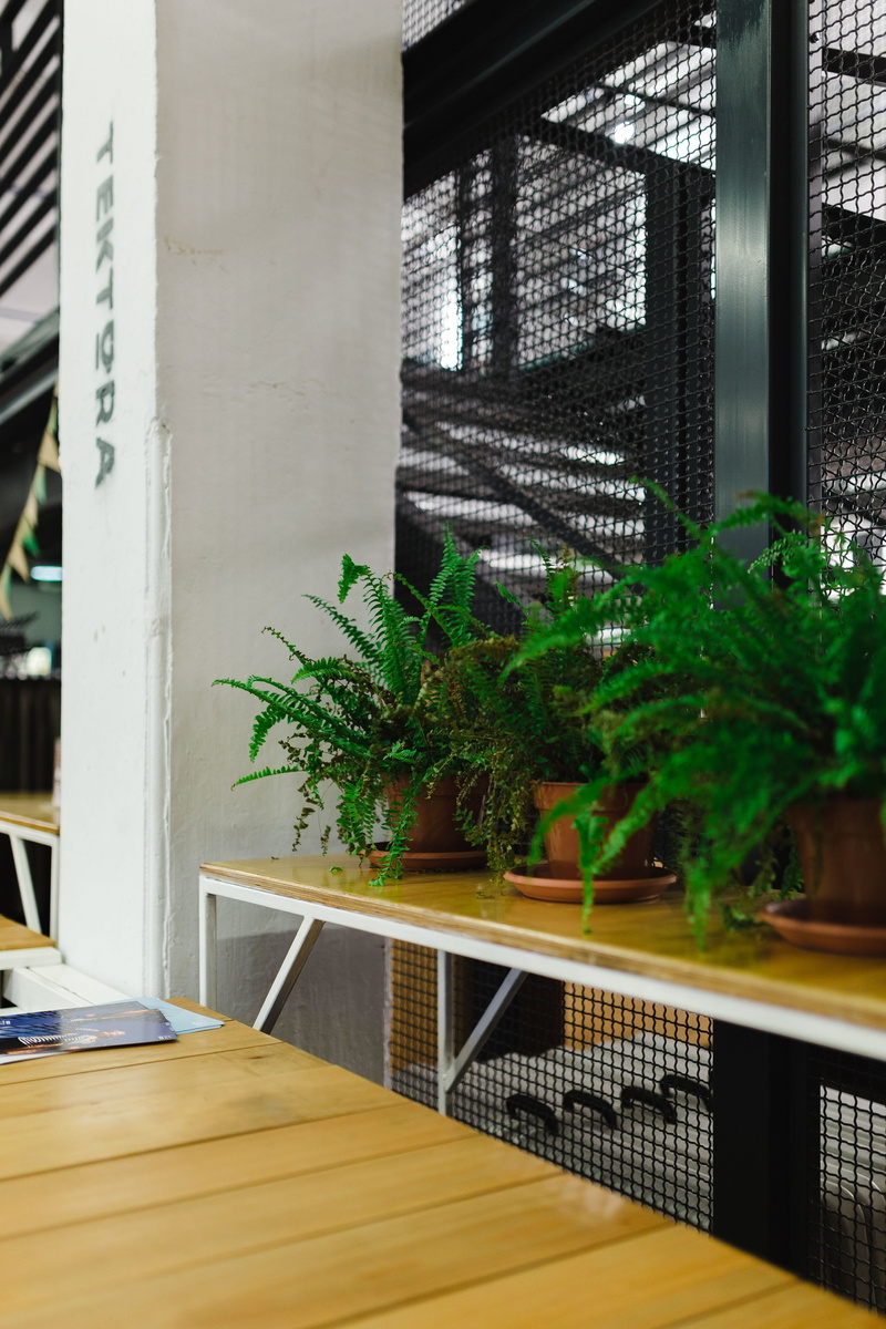 wood - material, 5K, nature, exhibition, houseplant, tree, pot, expo, indoors, office, built Structure, glass - material, building, plant, home interior