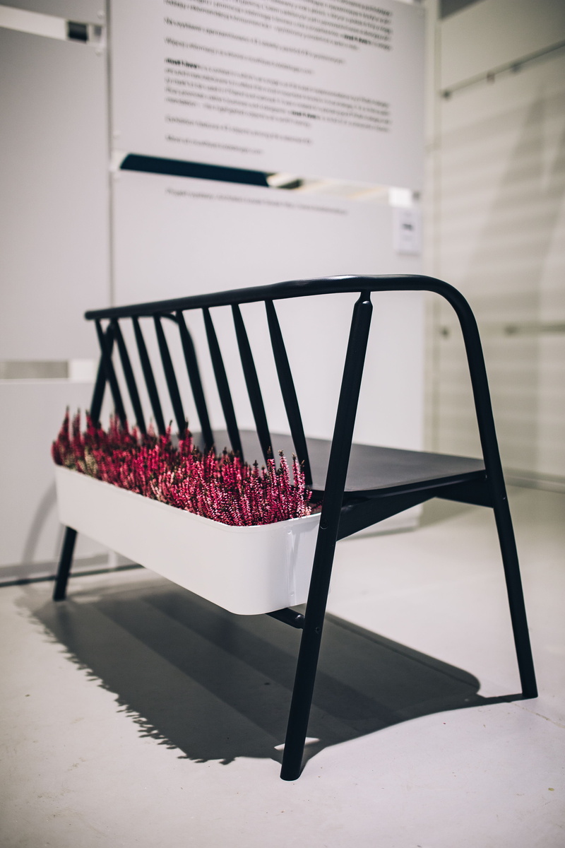 close-up, focus on foreground, potted plant, flowerpot, food, home interior, domestic room, hygiene, flowerpots, day, seat, chair, furniture, exposition