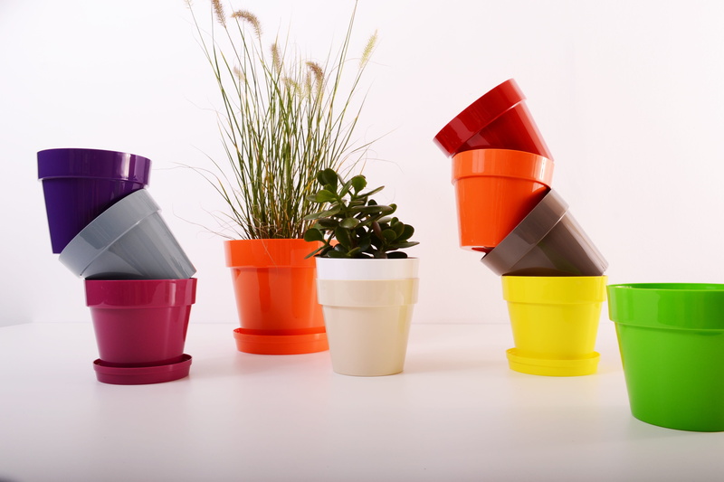 potted plant, surface, group, flora, plastic, orange, flower, flower pot, garden, plant, container, nature, gardening, colorful, choice, pottery, hobby