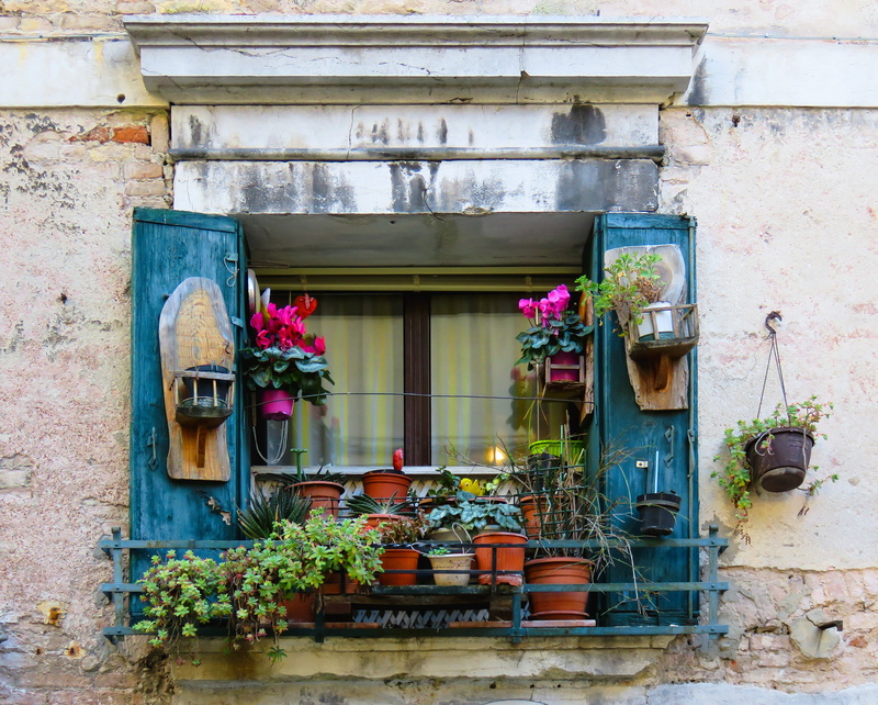 assorted, flower Pot, facade, built structure, window, residential district, no people, outdoors, street, plants, 4K, day, italy, flowerpot, shutter, growth