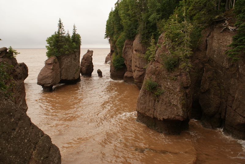 beauty in nature, Flowerpot, outdoors, flowing, tranquil scene, 4K, tree, attraction, no people, scenics - nature, plant, day, rock formation, canada