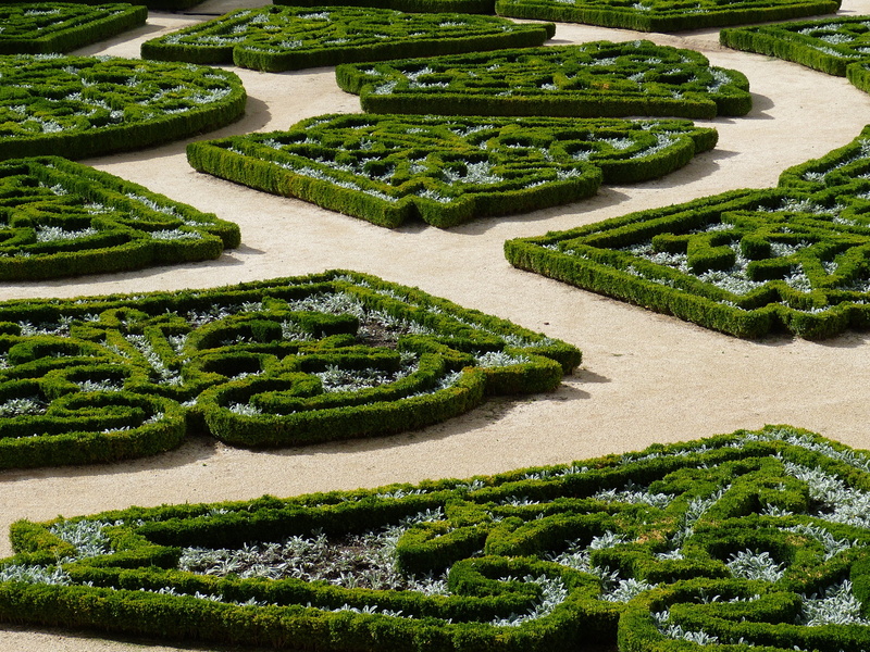 plant, outdoors, landscape, growth, park, environment, decoration, nature, 4K, beauty in nature, pattern, formal garden, maze, hedge, boxwood, grass, scenics - nature
