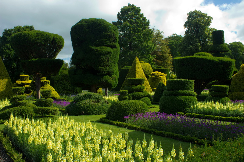 landscape, grass, topiary, flowering plant, day, growth, garden, plant, purple, tranquility, flower bed, green, landscaped, bodnant gardens wales, outdoors