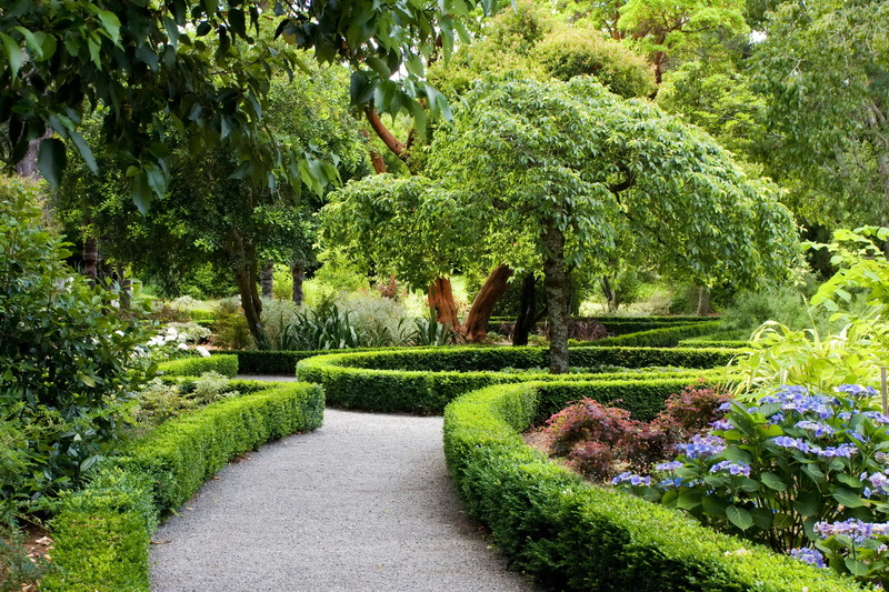 design, footpath, foliage, park - Man Made Space, formal Garden, tranquility, leaf, no People, growth, leafed, bush, green, topiary, boxwood, day, gardening