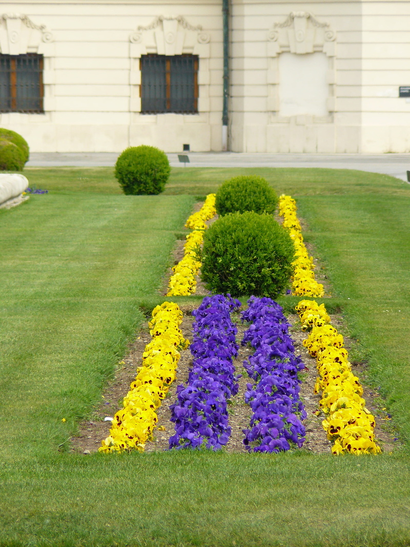 green color, Colorful, ornamental garden, floral design, grass, Flower Bed, lawn, no people, bed, bloom, Color, buxus, green, rush, outdoors, blossom, 2K