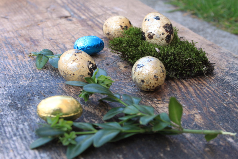 rustic, animal egg, holiday, colored, colorful, custom, nature, 4K, chocolate, natural, easter egg, egg, decoration, boxwood, moss, food and drink, eggs