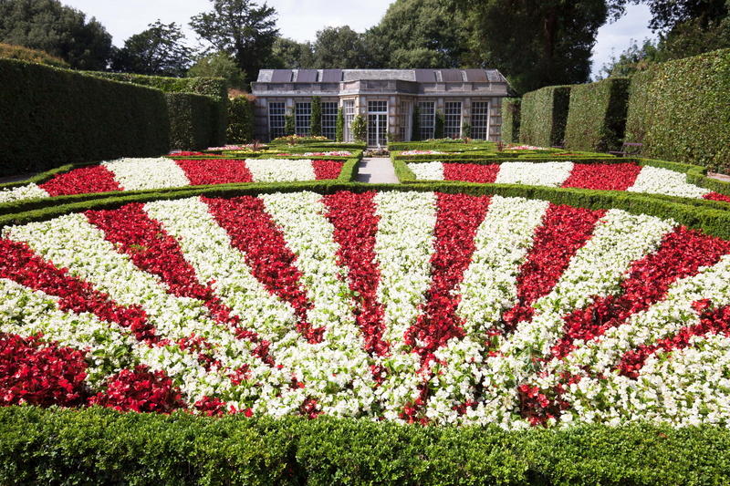 flora, flowerbed, no people, Garden, plant, boxwood, green Color, freshness, white, fragility, day, ornamental Garden, patriotism, sunlight, Flowers, architectural garden