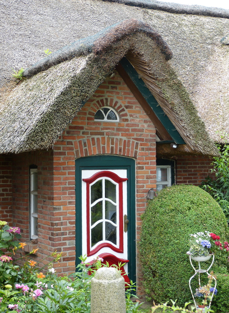 hedge, house, reed, door, garden, roof, plant, village, building, mecklenburg, growth, flowers, roses, flowering plant, no people, outdoors, architecture