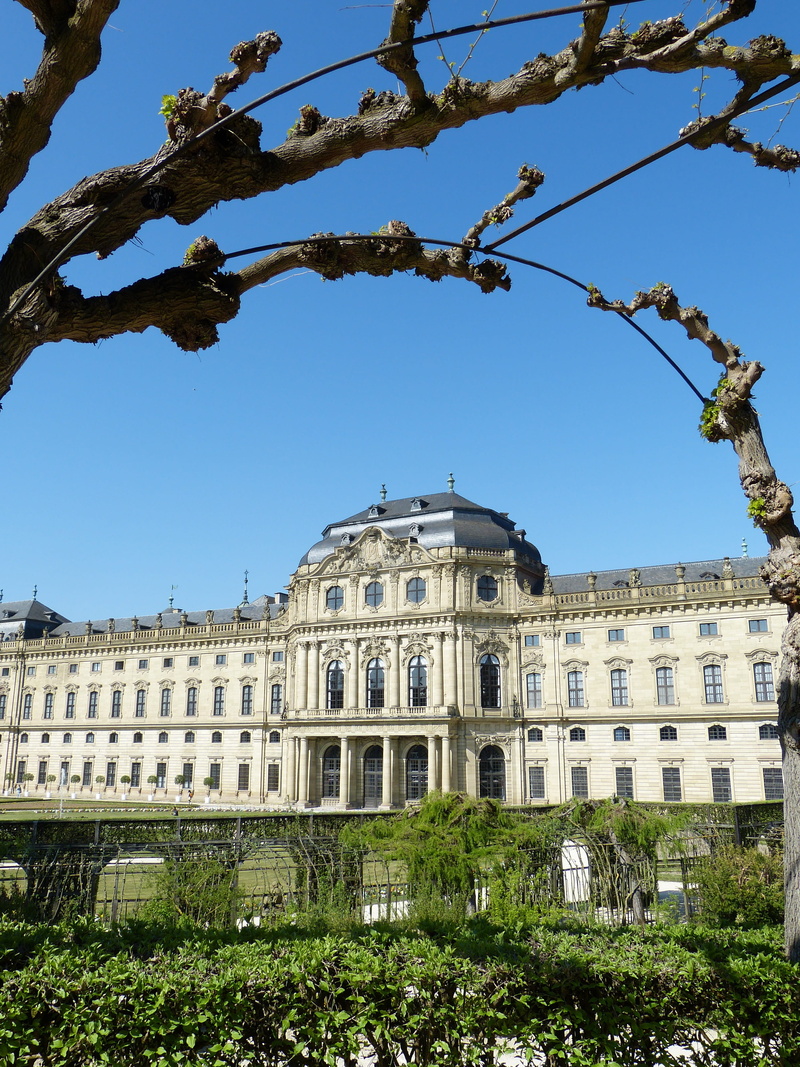 grass, palace, french garden, facade, growth, Bavaria, baroque, hedge, plant, tree, outdoors, low angle view, day, history, house, sunlight, boxwood, 4K