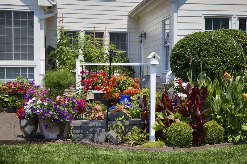 no people, flowering plant, day, papyrus, potted plant, house, vulnerability, architecture, Flowers, building exterior, grass, outdoors, bush, green, trellis