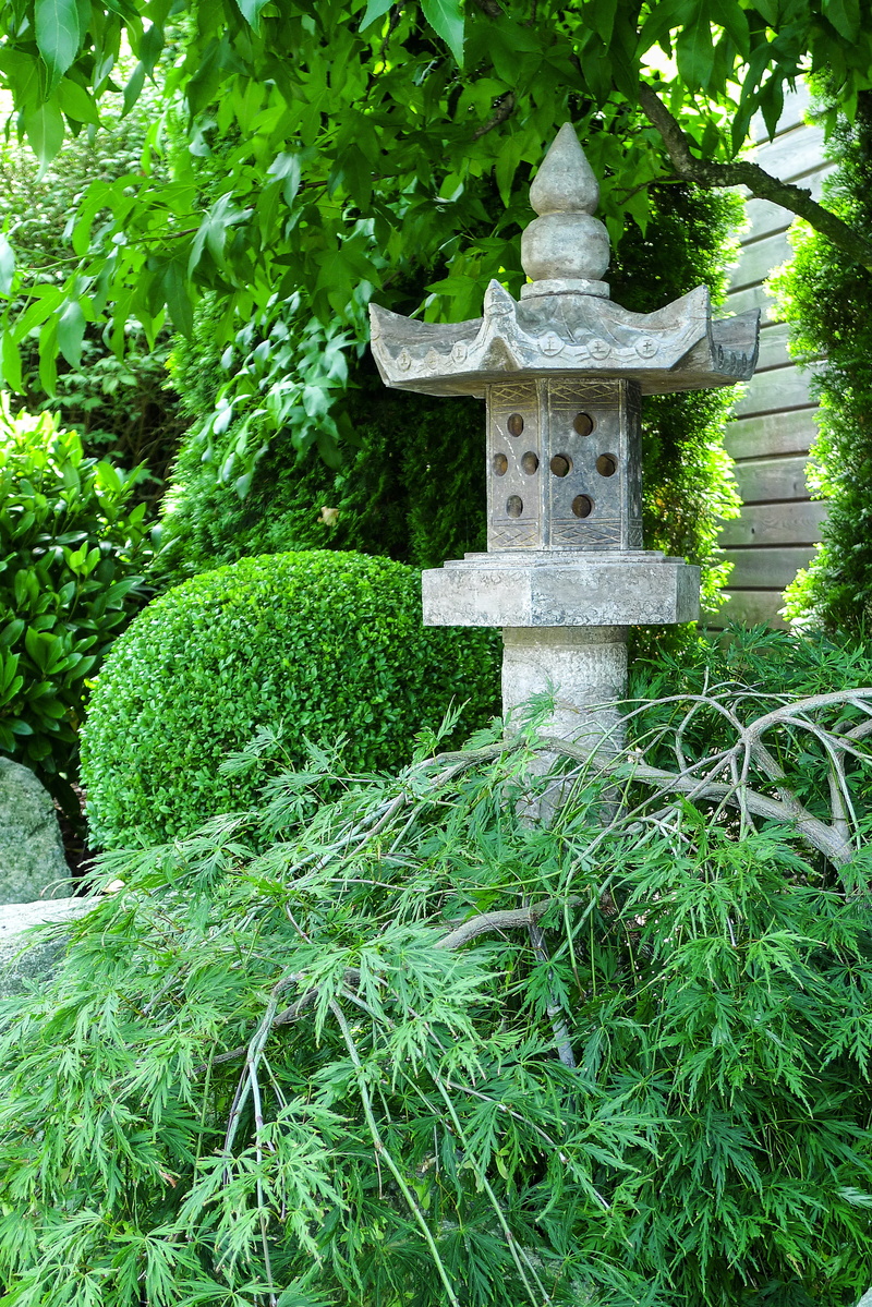 cemetery, garden, plant part, formal garden, grass, Garden, tree, nature, outdoors, Stone Lantern, Boxwood, architecture, grave, growth, Maple, day, stone