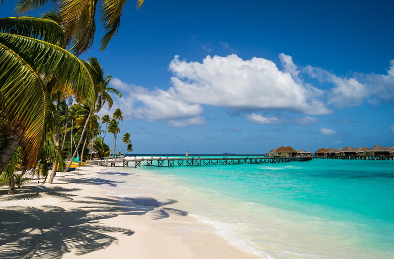 Resort, Photography, Tropics, Sea, Constance Halaveli Resort, Lagoon, Holiday, Pier, 1080P, Palm Tree, Beach, Maldives