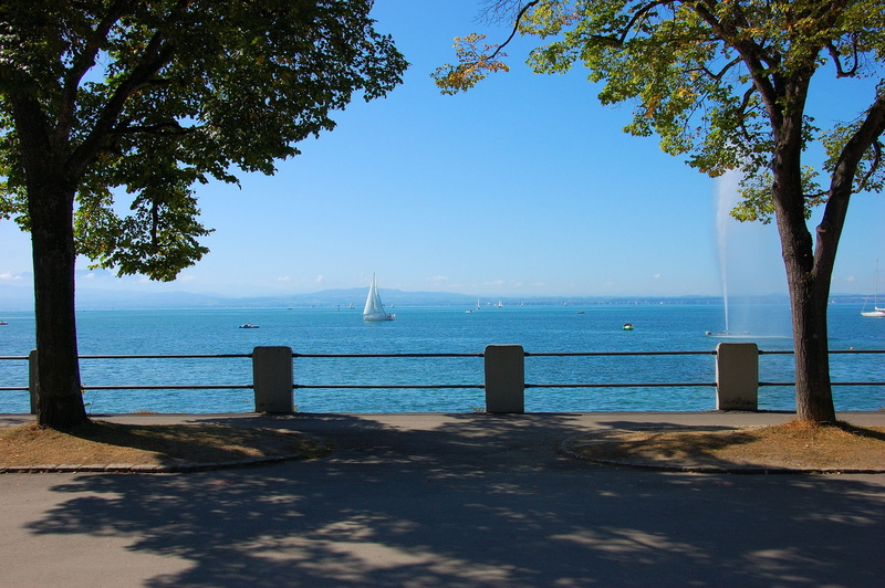 trees, near, metal, plant, horizon over water, tree, no people, tranquil scene, outdoors, constance, sea, beauty in nature, gray, germany, scenics - nature