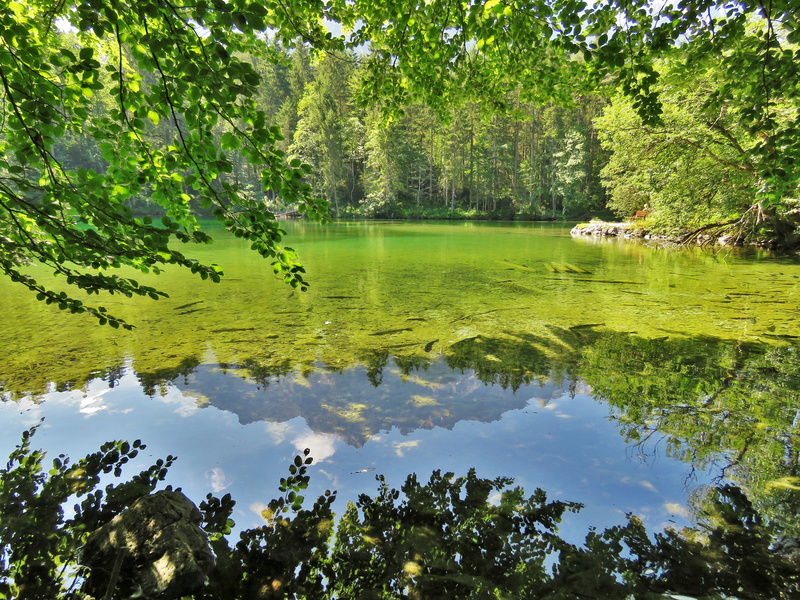 constance, germany, lake, nature, 4K