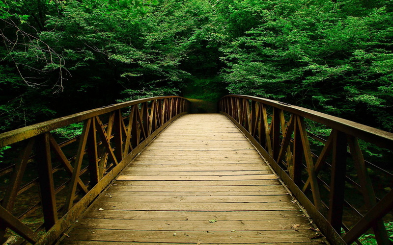 720P, wooden bridge, wilderness, bridge, nature, path
