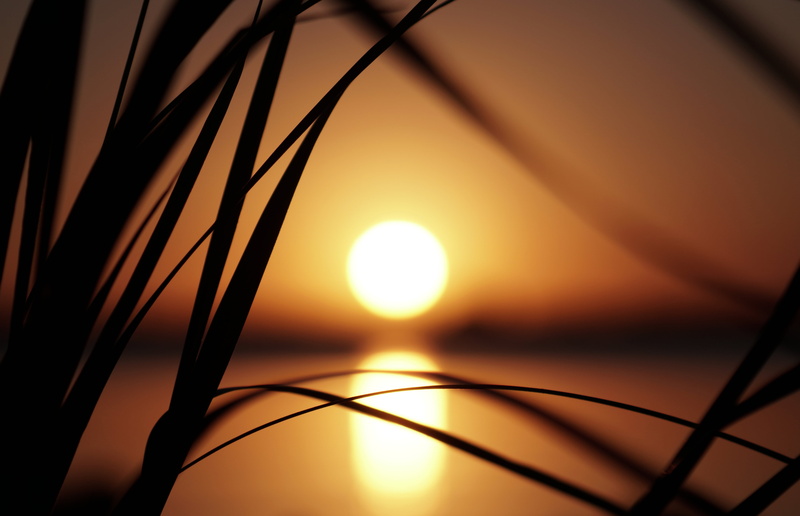 70-200mm, merritt  island  florida, indian  river  lagoon, brevard  county, silhouette, sawgrass, Cadenza, sunset, 5K, intracoastal  waterway, space  coast