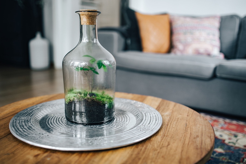 close-up, table, wood - material, glass, 2K, no People, nature, clean, domestic Room, plate, scandinavian, furniture, water, rug, decorations, Dutch, container