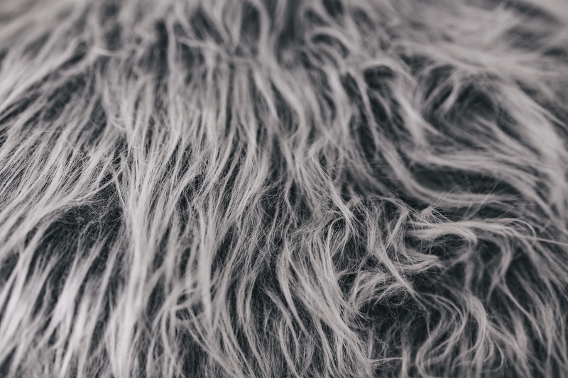 black Color, long hair, indoors, animal, Scandinavian, home decor, fur, animal Hair, nordic, headshot, hair, full frame, adult, studio shot, close-up, blond hair