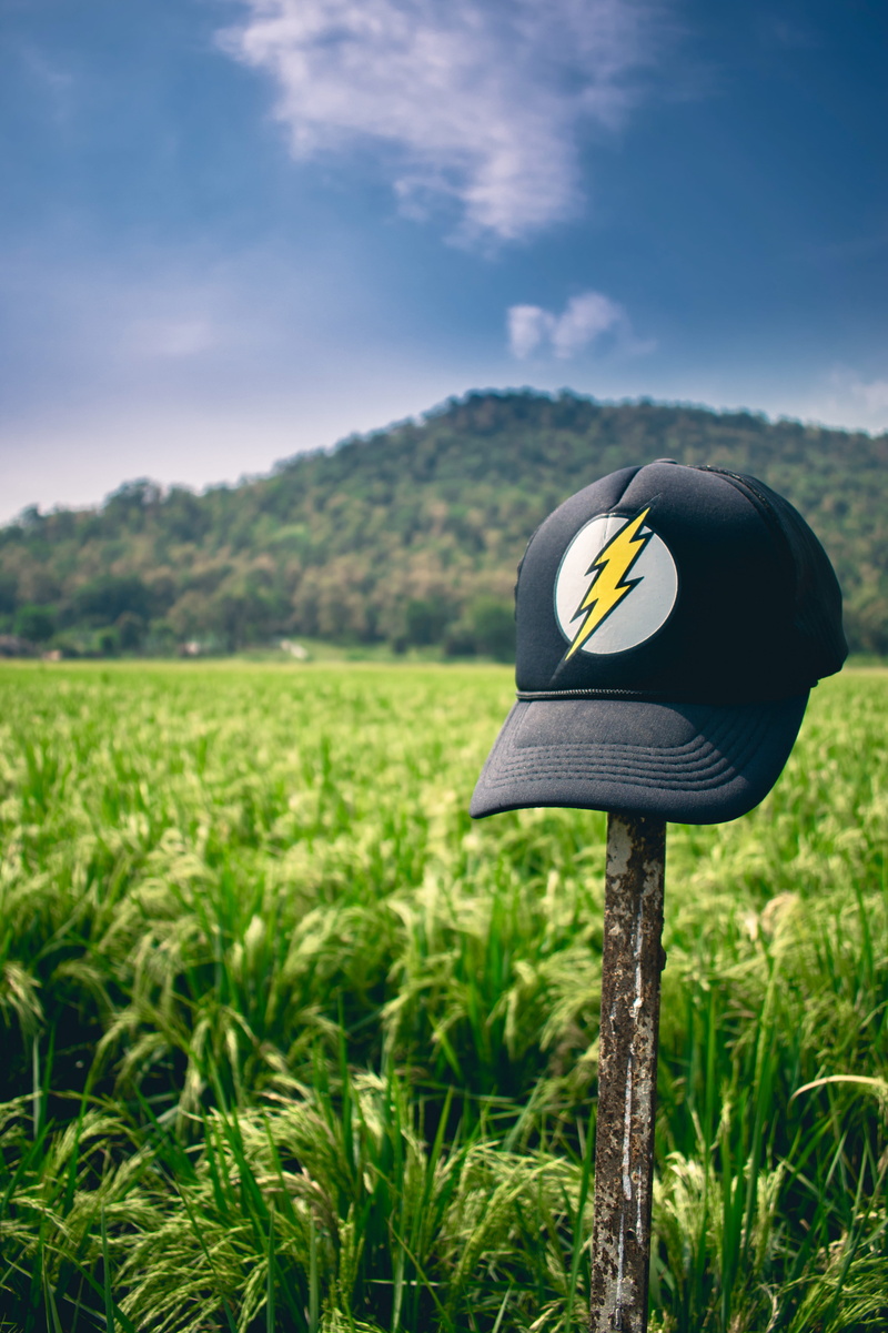 growth, vegetation, focus on foreground, land, soil, #portaitphotography #wallpaper #hdwallpaper #iphonewallpaper #background #iphonebackground, beauty in nature