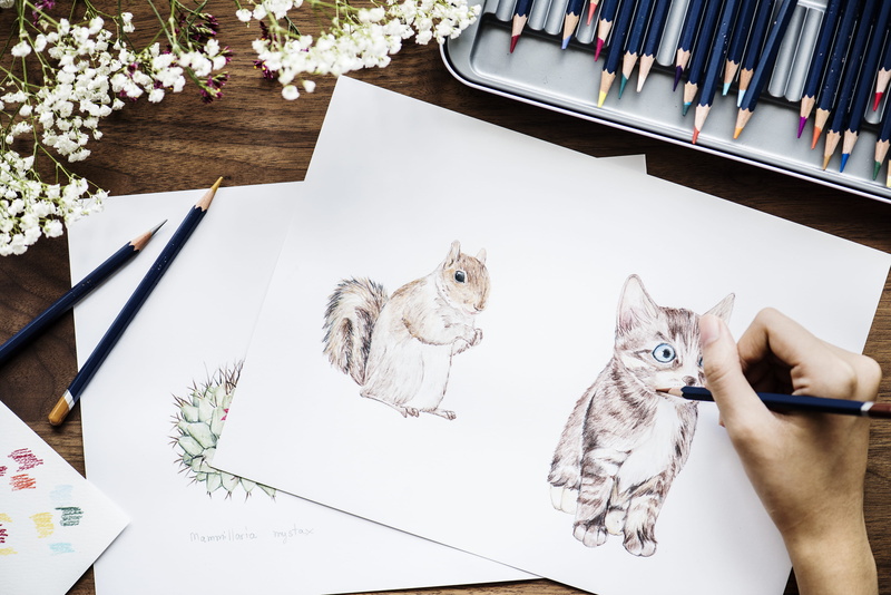 domestic cat, coloring, vertebrate, cute, sketching, table, plant, artist, color, paper, bright, drawings, high angle view, person, pencil, workspace, portrait