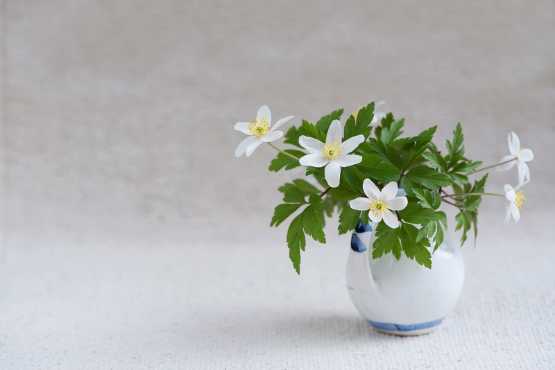 vase, flower arrangement, purple, spring flower, studio shot, wood - Material, indoors, early bloomer, petaled, ceramic, plant, fragility, vulnerability
