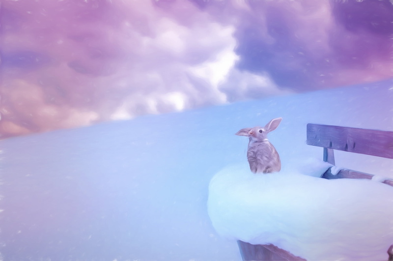 animal themes, snowfield, beauty in nature, 1080P, text dom, sea, drawing, digital composite, no people, wildlife, artwork, water, snow, sky, bank, hare