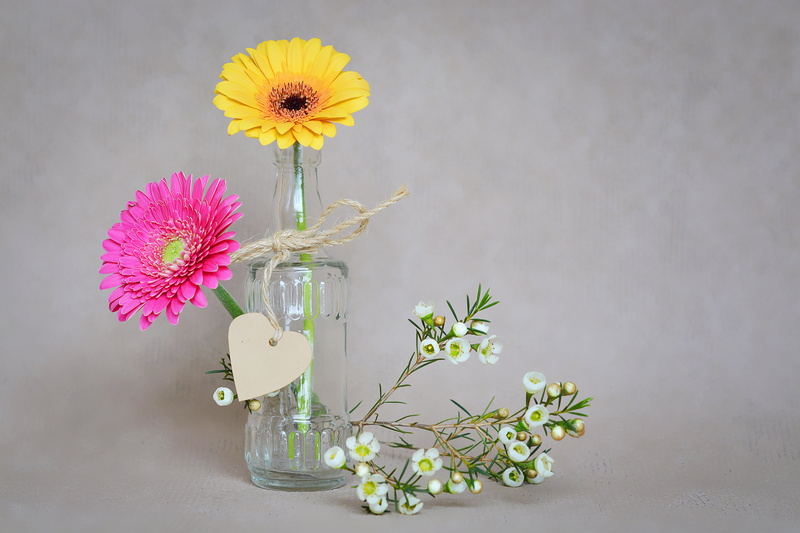 freshness, frangipani, springtime, 5K, sunflower, decoration, petals, studio shot, gray, flower arrangement, indoors, no people, still life, gray background