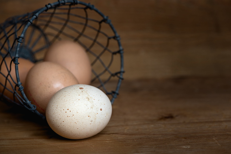 chicken product, freshness, brown, text dom, medium group of objects, basket, nutrition, wire, food and drink, no people, copy space, indoors, animal egg