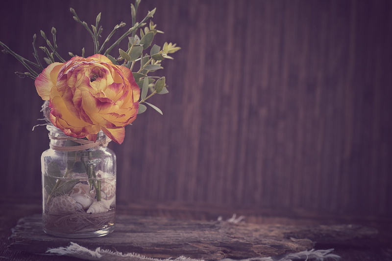 orange, close, vintage-look, softness, glass, rose - Flower, beauty in nature, table, vulnerability, purple, flowering plant, petal, jar, ranunculus, vase