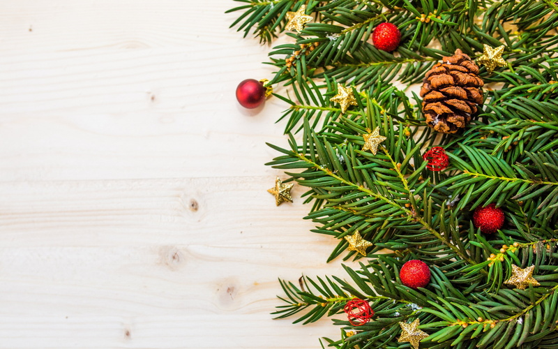 pine, tree, hd, berry, red, food, fruit, healthy eating, 4K, fir tree, indoors, christmas, still life, ultra, holiday, celebration, christmas ornament