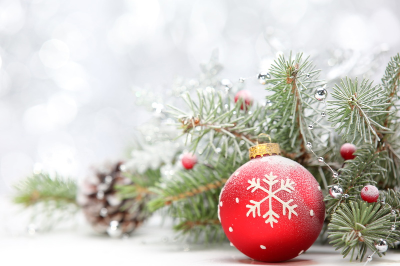 bright, branches, ornate, frost, event, decor, holiday - event, needle - plant part, winter, plant, white, outdoors, New year, needles, red, cultures, christmas Tree