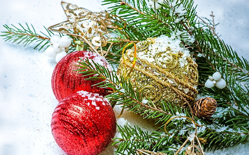 tree, snow, christmas tree, baubles, red, decoration, cones, celebration, gold, New Year, three, Christmas ornaments , event, winter, christmas decoration
