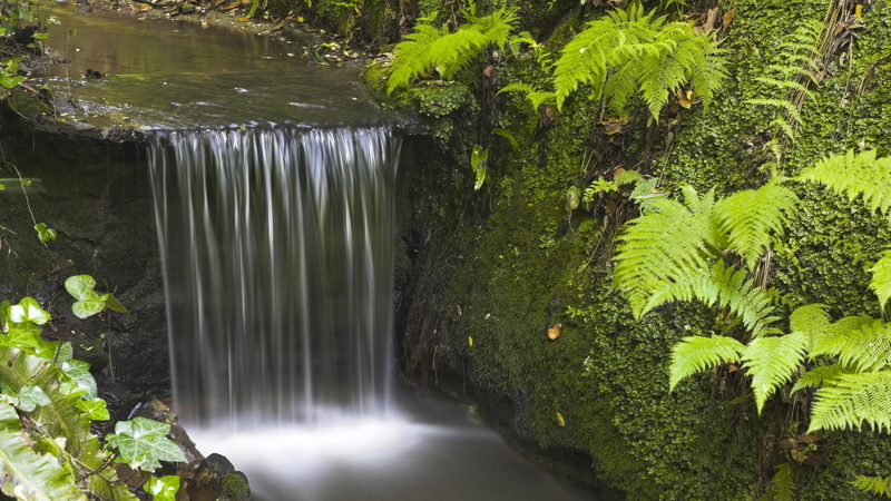 nature, fern, shanklin, waterfall, chine, england, green, small, shanklin chine, 1080P, europe, 1920x1080