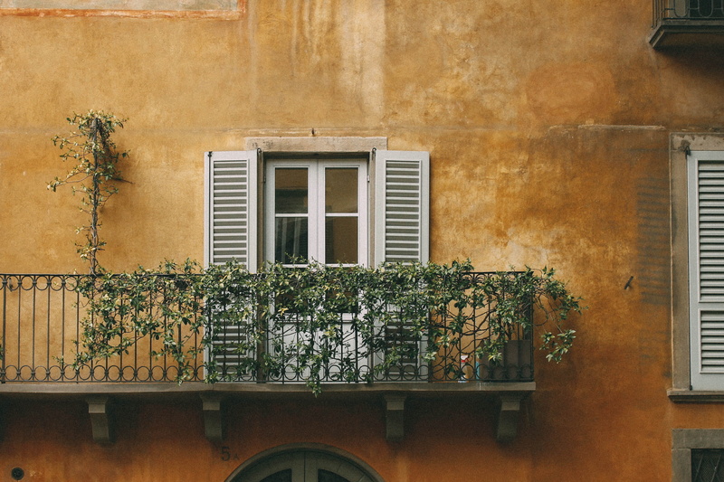 building, wall - building feature, growth, green color, window frame, nature, creeper plant, bergamo, orange, built structure, day, no people, building exterior