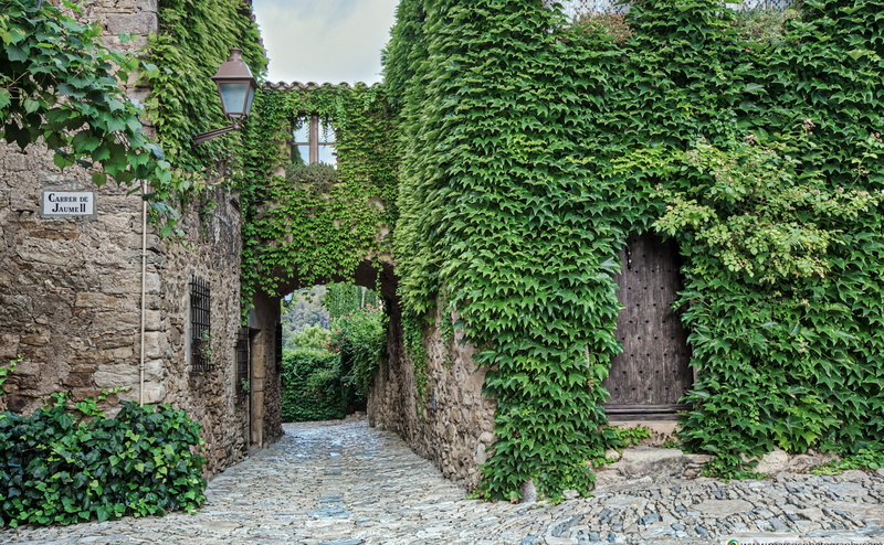 medieval, green, built structure, creeper plant, house, day, plants, no people, catalonia, plant part, peratallada, plant, wall, outdoors, entrance, 4K