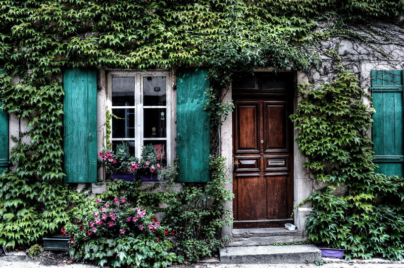 green color, shutters, cultures, tree, growth, entrance, architecture, closed, creeper plant, ivy, residential district, building, door, window, built structure