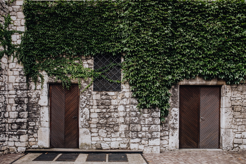 Poland, architecture, magic, door, city, karkow, entrance, first, building, stone wall, tree, cracow, nature, growth, closed, outdoors, 5K, polska, travel