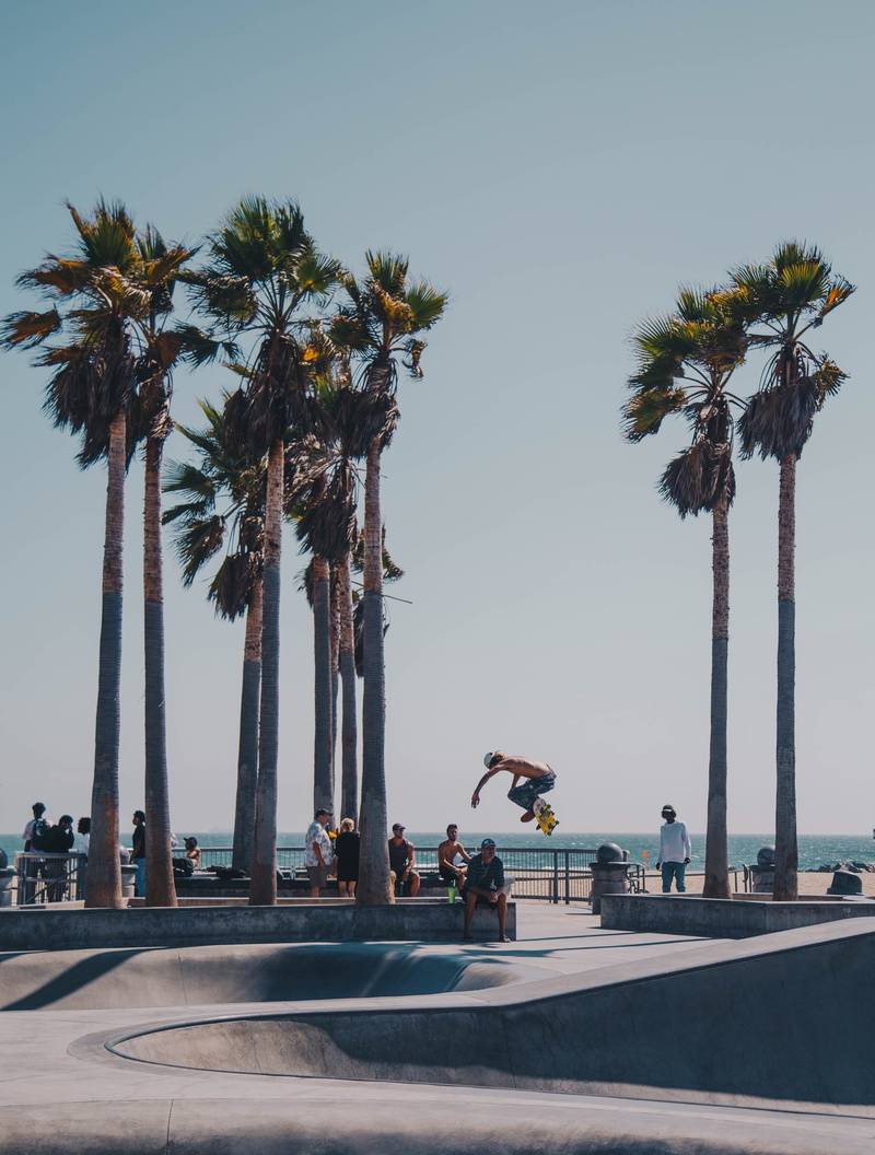 outdoors, water, sport, real people, plant, tree, nature, lifestyles, 4K, venice, losangele, photo, skateboarding, palm tree, ramp, trunk, person, man