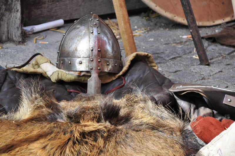 shield, chivalry, nature, festival, knights templar, Knight, mesh side, medieval, mammal, animal skin, gisors, Armor, animal themes, security, combat, no people